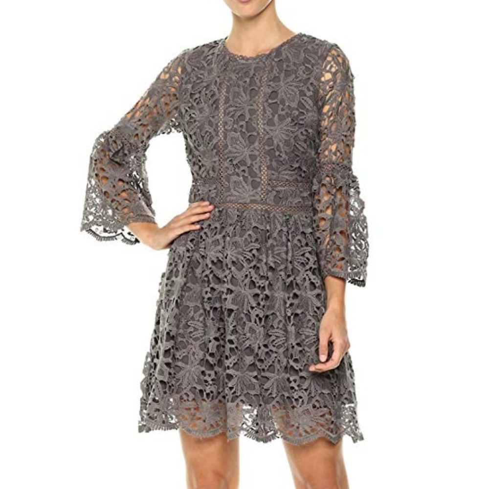 J.O.A Ruffle Sleeve Fit & Flare lace Dress